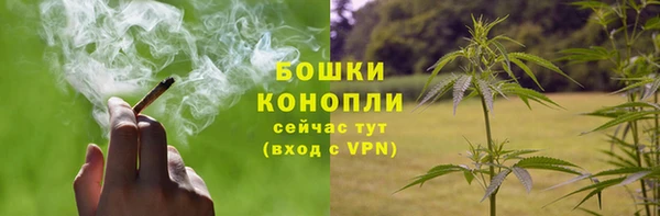 apvp Горнозаводск