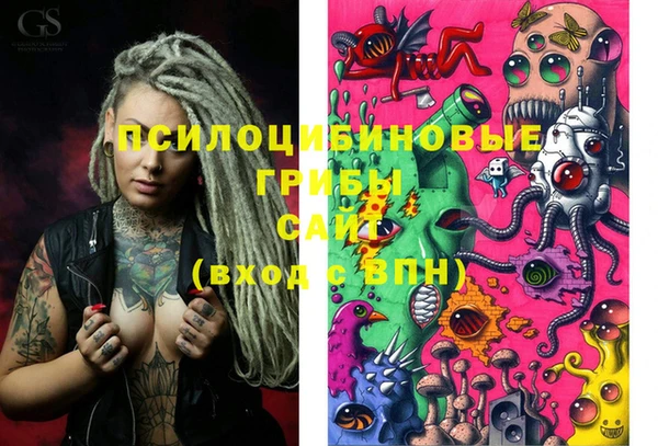 стаф Вяземский