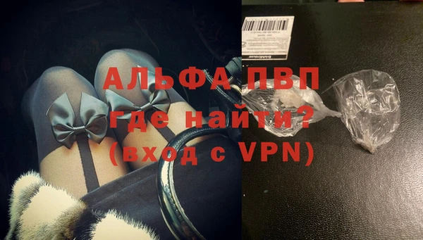 стаф Вяземский
