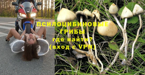 трава Вязники