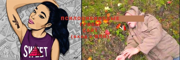 стаф Вяземский